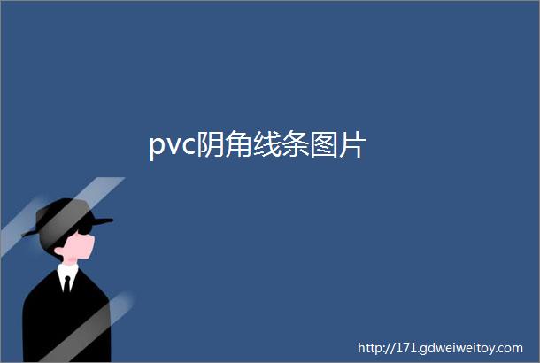 pvc阴角线条图片